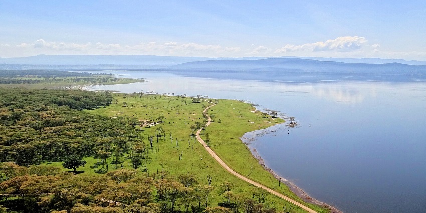 Image of a jeep watching wildlife in a savanna